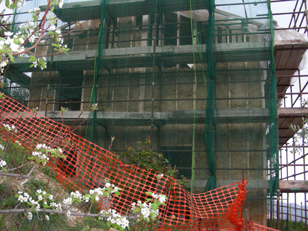 Westfassade wchst und wchst