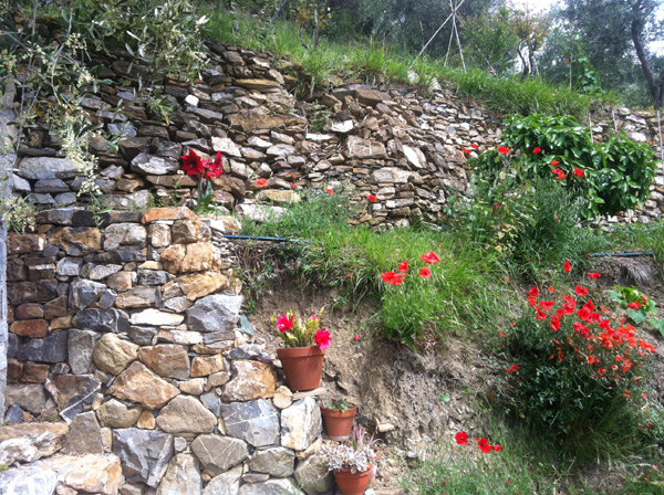 Scala per l'orto